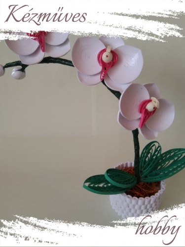 Quilling ajándék - Cserepes kisvirágok - Fehér orchidea - Quilling Cserepes kisvirágok